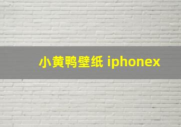 小黄鸭壁纸 iphonex